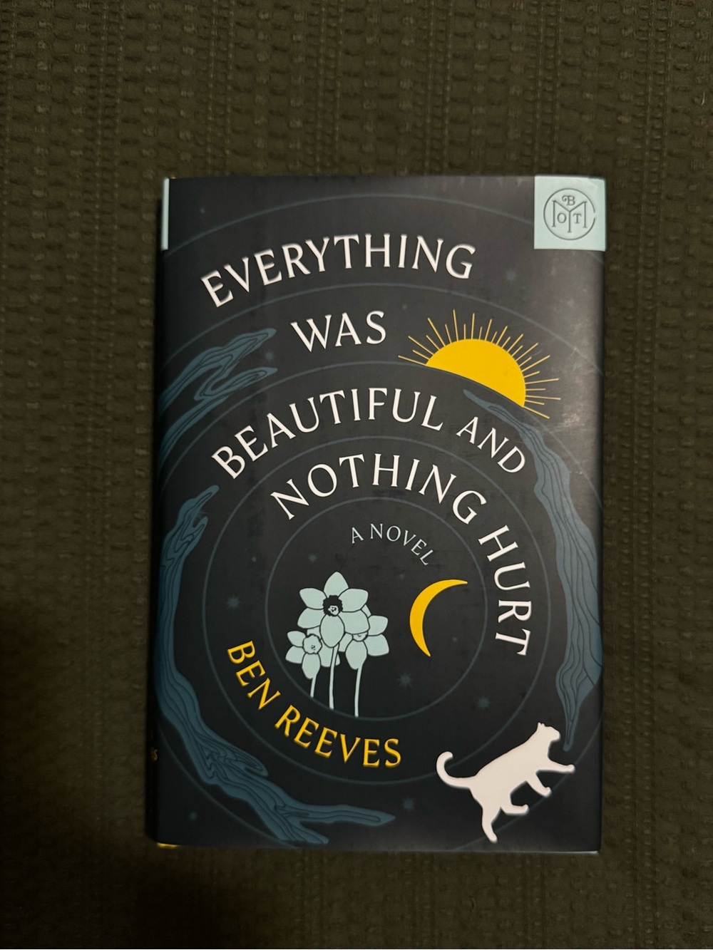 Everything Was Beautiful and Nothing Hurt - Ben Reeves